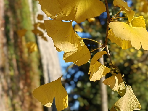 墙绘工程注意事项有哪些？