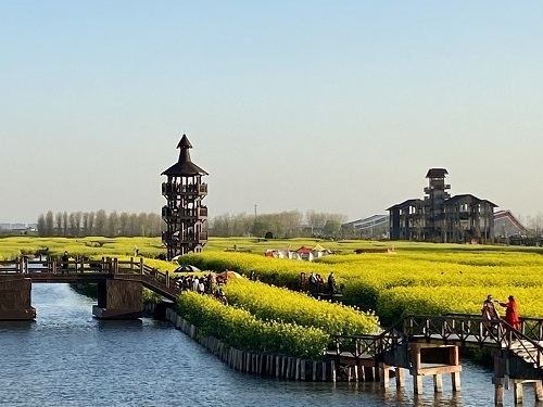 情感分析与指导